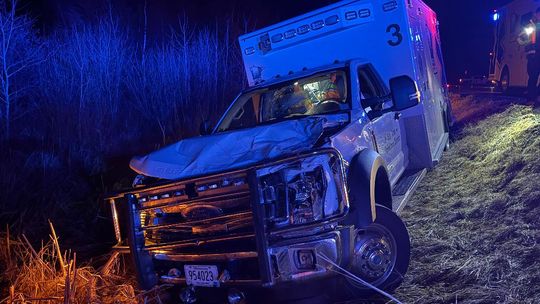 Ambulance, moose collide