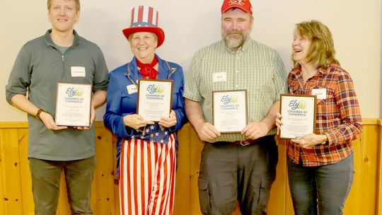 Chamber honors award winners