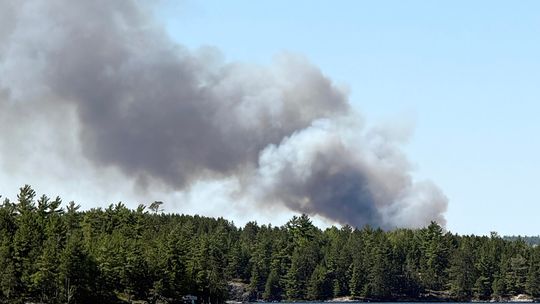 Fire starts north of North Arm Road, burns 30 acres