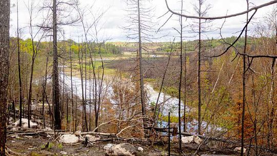 Forest Service on how July lightning fires fit into area’s history of wildfire