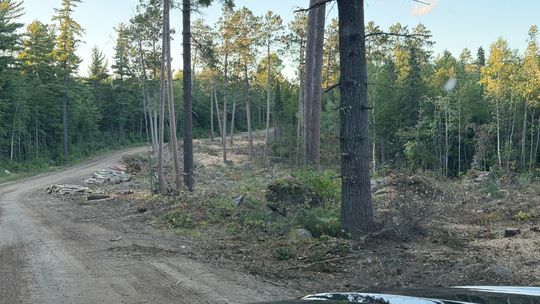 Forest Service updates St. Louis County board