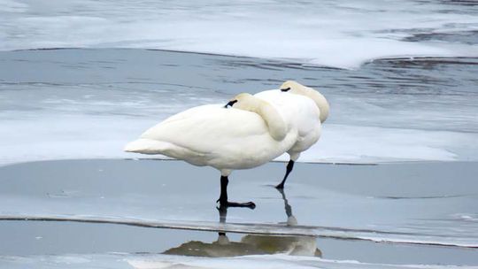 FROM ELY TO ELY AT THE WORLD’S LARGEST PADDLESPORTS EXPO