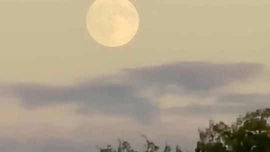 It started with the Harvest Moon
