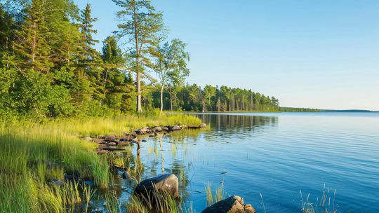 Letter to the Editor….the Forest Service and Congress must take responsibility for honoring the documents they signed