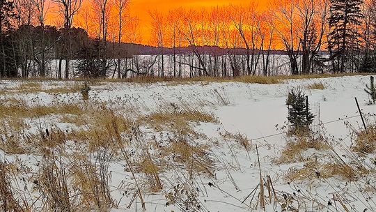 Life Histories – Another Year