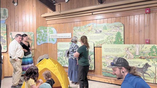 Little Wolf Exhibit at IWC has grant opening