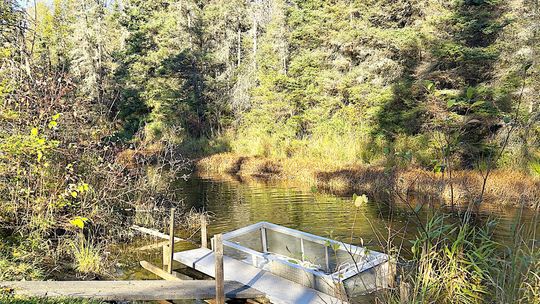 Muskies Moving from Local Aquatic Management Area