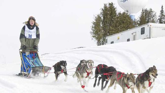 New champs at WolfTrack