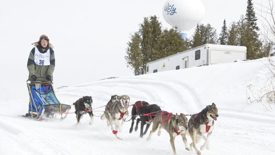 New champs at WolfTrack