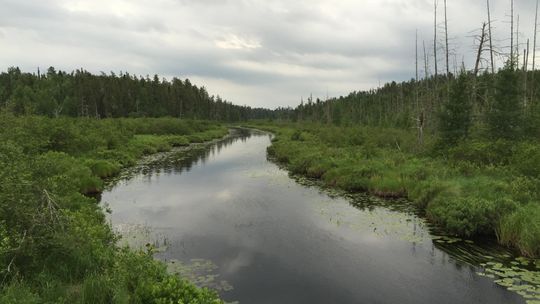 New order reopens more BWCAW entry points