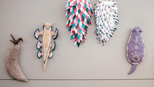 Nudibranch Art Show opens in Ely