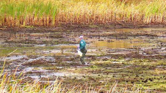 October and Migration Sitings Continue