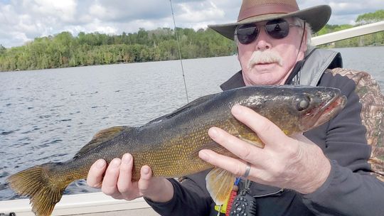 Public input sought on reducing statewide the walleye limit from six to four in 2027
