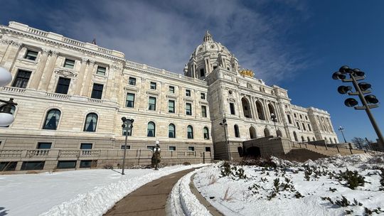 Senate pulls funds for Friends
