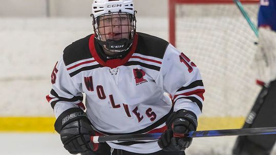 Skaters home for playoffs