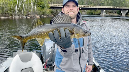 Voyageur North Outfitters Weekly Fishing Report