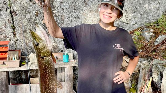 Voyageur North Outfitters Weekly Fishing Report