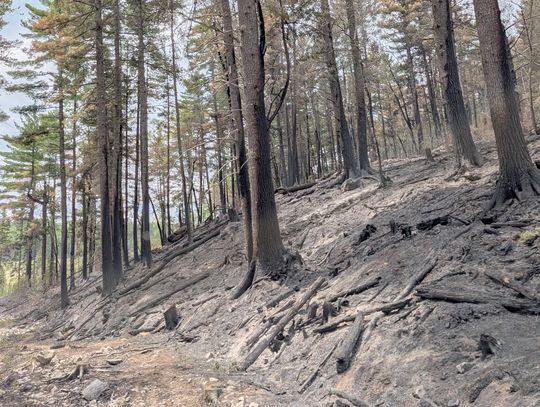 Birch Bay fire burns out