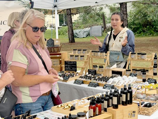 Birch Landing Art Fair an overwhelming success