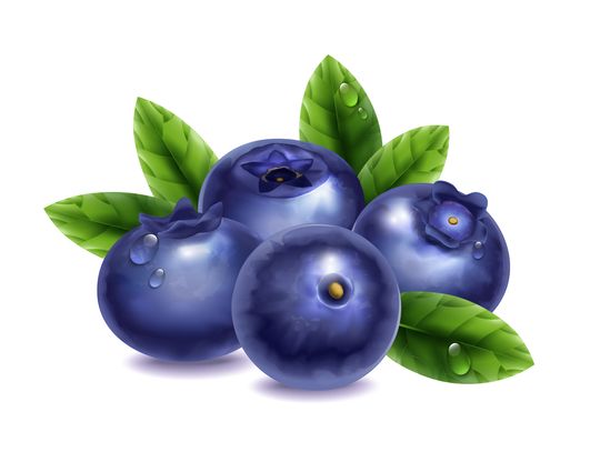 Blueberry week upon us