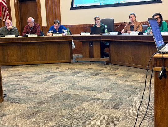 Business survey fuels debate at city council meeting