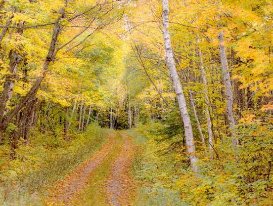 The Backroads of My Memories