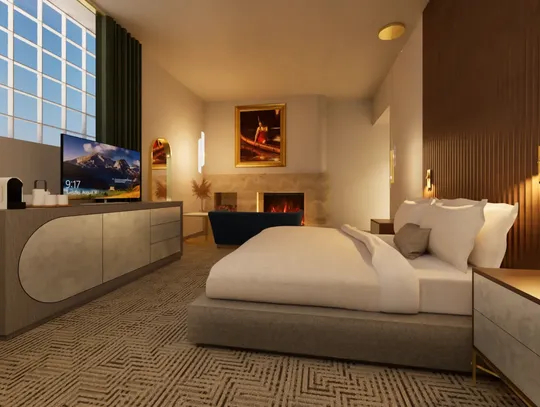 City council discusses new parking for Hotel Elysium, storage container ordinance