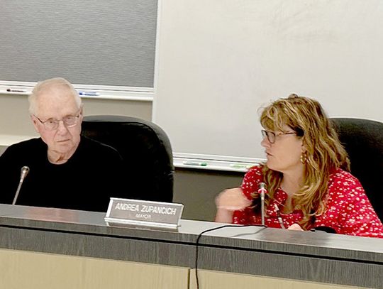 Council says yes to Birch Landing Art Fair