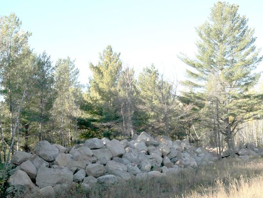 Council sinks proposed marina project