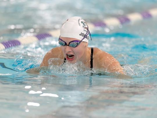 Denfeld splashes past Nighthawks