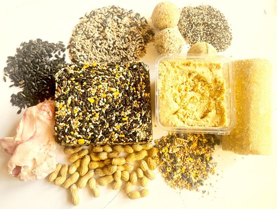 Did You Wake Up Thinking About Food?