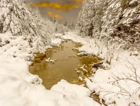 DNR Conservation Officer reports DNR Conservation Officer reports