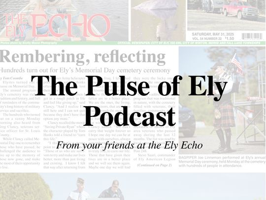 Echo wins 10 state awards