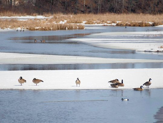 Ely Echo Shagawa Lake Ice Out Contest for 2025 underway, entries must be sent in via email