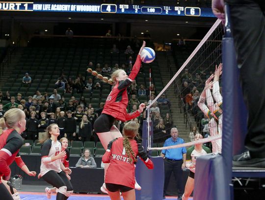 Ely falls in five at State tourney