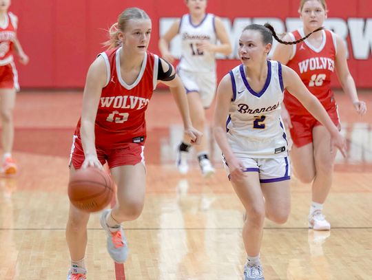 Ely girls to play at Target Center