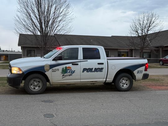 Ely police force was active in April