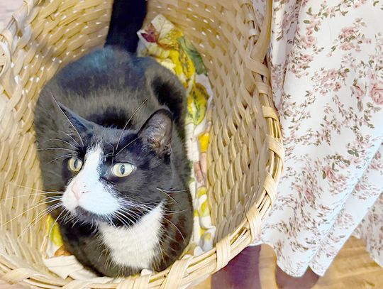 Ely Street Poet: Reach