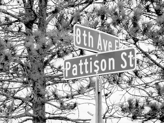 Ely Street Poet - Sights, sounds and hotdogs of baseball