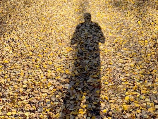 Ely Street Poet: Spooky was a season