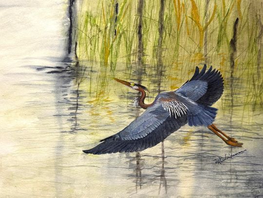 Ely Watercolor Club Show and Sale at Miners Dry Thursday through Sunday
