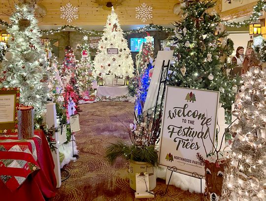 Festival of Trees starts on Sunday