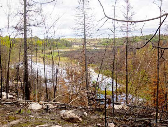 Forest Service on how July lightning fires fit into area’s history of wildfire