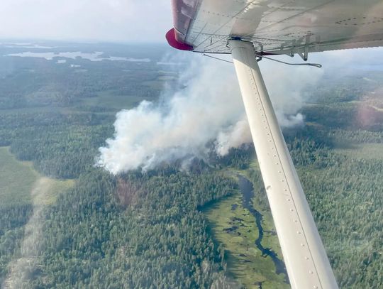 Forest Service to begin igniting prescribed fires in Ely area