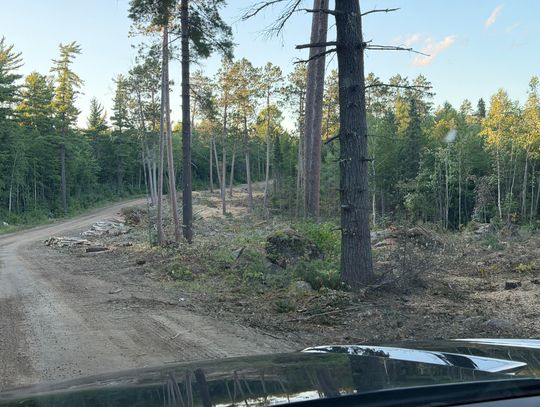 Forest Service updates St. Louis County board