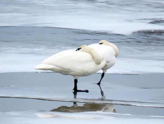 FROM ELY TO ELY AT THE WORLD’S LARGEST PADDLESPORTS EXPO