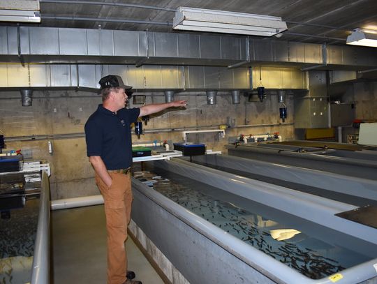 Get Out MORE funding includes fixes at hatcheries, streams