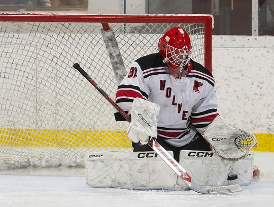 High-scoring Bagley pulls away