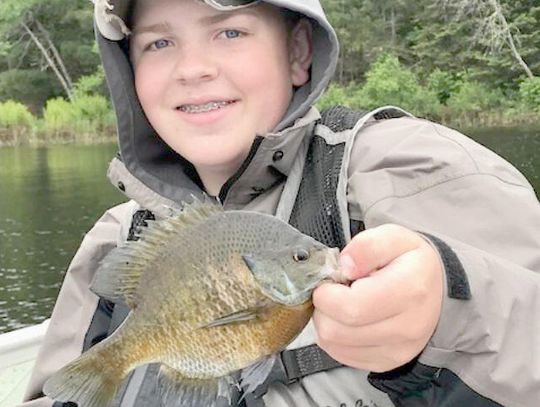 Hooked on Fishing: Blue Gills Hooked on Fishing: Blue Gills