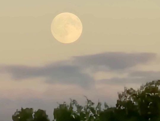 It started with the Harvest Moon